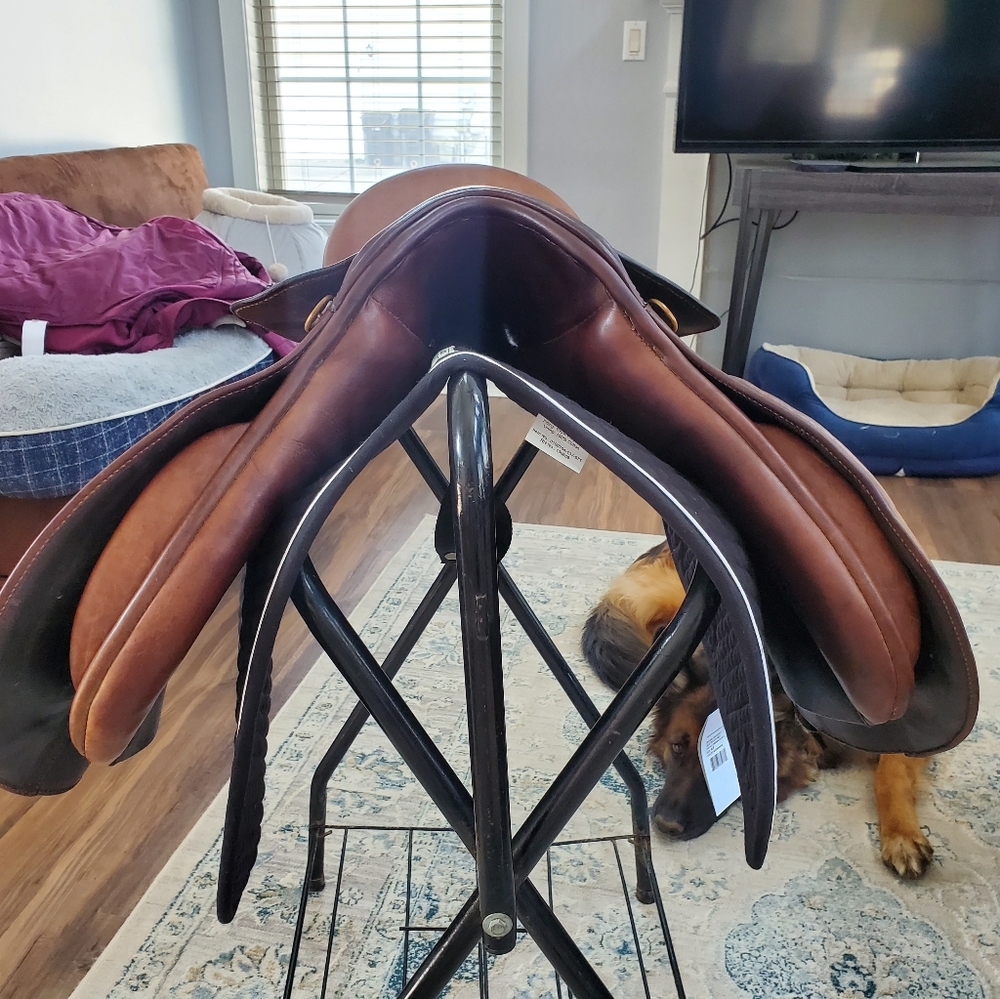 17 Collegiate dignity saddle,$450 or best offer